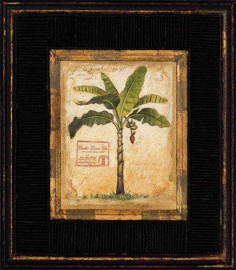 Compatible Still Life for Jahrriesnge banana-tree-lpf00450 Compatible Still Life Jahrriesnge for banana-tree-lpf00450