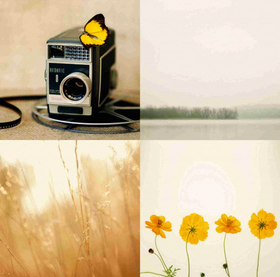 Compatible Still Life for Jahrriesnge untitle-lpf00525 Compatible Still Life Jahrriesnge for untitle-lpf00525