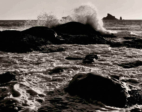 Compatible Landscape for JAHRRIESNGE wave-lpf00766 Compatible Landscape JAHRRIESNGE for wave-lpf00766