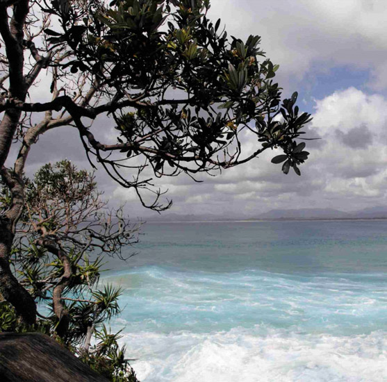 Compatible Landscape for JAHRRIESNGE sky-lpf00770 Compatible Landscape JAHRRIESNGE for sky-lpf00770