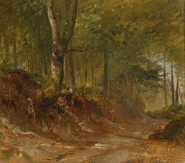 Compatible Landscape for JAHRRIESNGE forest-lpf01549 Compatible Landscape JAHRRIESNGE for forest-lpf01549