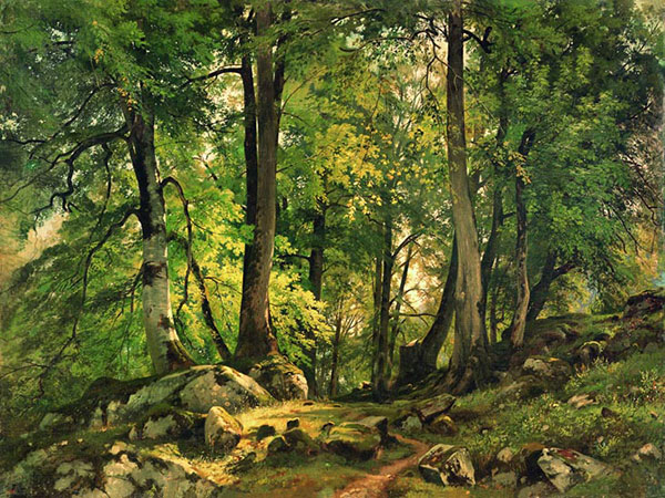 Compatible Landscape for JAHRRIESNGE tree-lpf01685 Compatible Landscape JAHRRIESNGE for tree-lpf01685