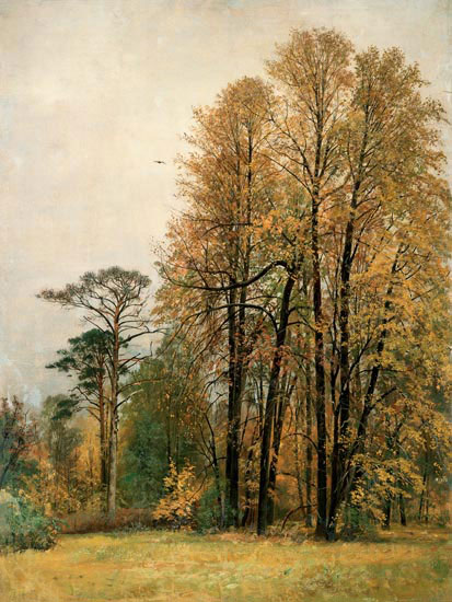 Compatible Landscape for JAHRRIESNGE tree-lpf01699 Compatible Landscape JAHRRIESNGE for tree-lpf01699