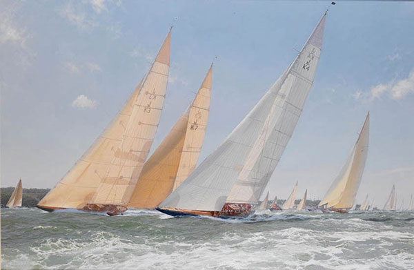 Compatible Landscape for JAHRRIESNGE sea-lpf01946 Compatible Landscape JAHRRIESNGE for sea-lpf01946