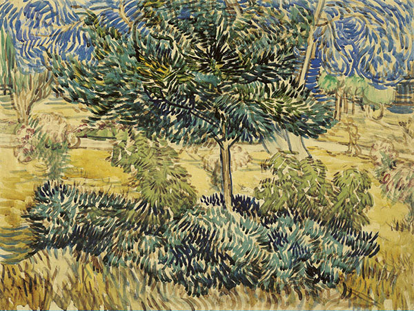 Compatible Landscape for JAHRRIESNGE tree-lpf02474 Compatible Landscape JAHRRIESNGE for tree-lpf02474