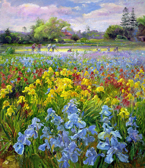 Compatible Landscape for JAHRRIESNGE flower-field-lpf02507 Compatible Landscape JAHRRIESNGE for flower-field-lpf02507