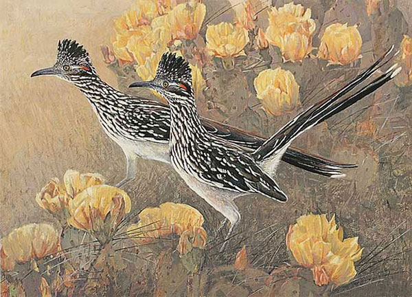 Compatible Animals for Jahrriesnge Walking-ostrich-lpf02524 Compatible Animals Jahrriesnge for Walking-ostrich-lpf02524