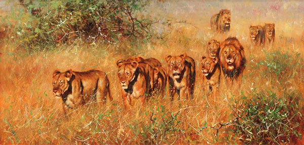 Compatible Animals for Jahrriesnge lion-lpf02536 Compatible Animals Jahrriesnge for lion-lpf02536