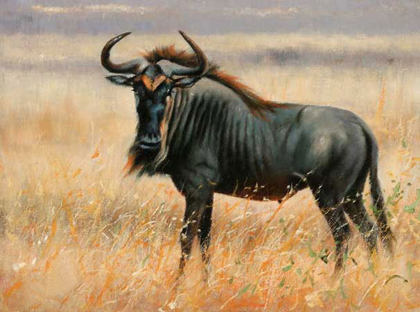 Compatible Animals for Jahrriesnge wildebeest-lpf02552 Compatible Animals Jahrriesnge for wildebeest-lpf02552
