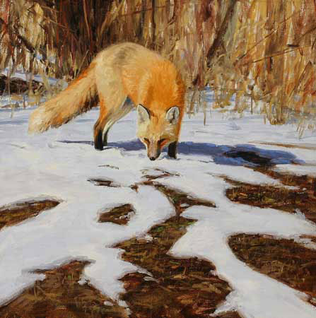 Compatible Animals for Jahrriesnge fox-lpf02566 Compatible Animals Jahrriesnge for fox-lpf02566