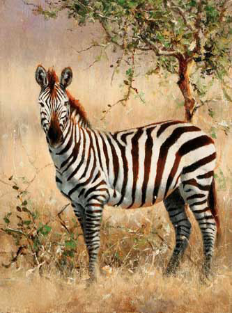 Compatible Animals for Jahrriesnge zebra-lpf02570 Compatible Animals Jahrriesnge for zebra-lpf02570