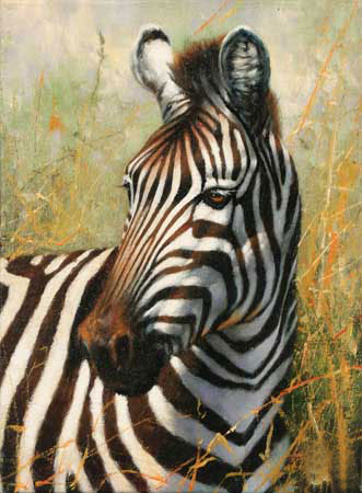 Compatible Animals for Jahrriesnge zebra-lpf02572 Compatible Animals Jahrriesnge for zebra-lpf02572