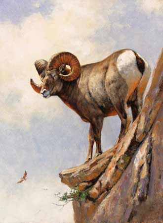Compatible Animals for Jahrriesnge bighorn-sheep-lpf02574 Compatible Animals Jahrriesnge for bighorn-sheep-lpf02574