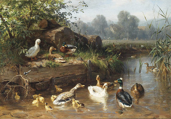 Compatible Animals Jahrriesnge  for duck-lpf02588 