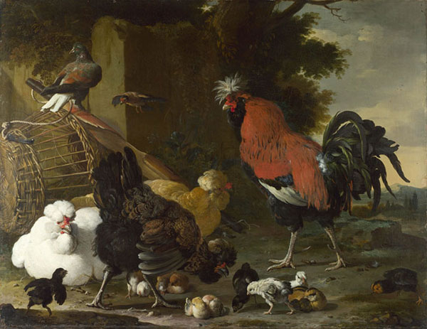 Compatible Animals for Jahrriesnge chicken-lpf02599 Compatible Animals Jahrriesnge for chicken-lpf02599