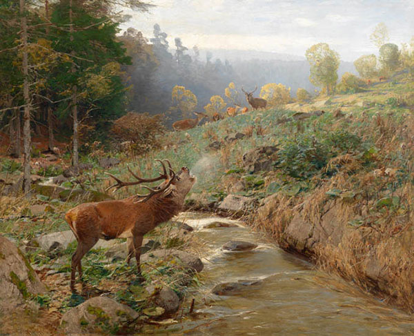 Compatible Animals for Jahrriesnge red-deer-lpf02654 Compatible Animals Jahrriesnge for red-deer-lpf02654