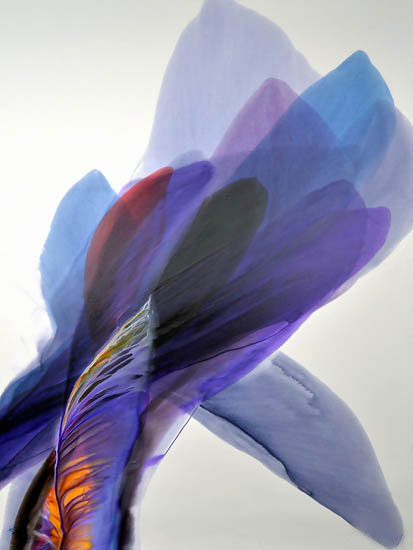 Compatible Abstract for Jahrriesnge untitle-lpf03520 Compatible Abstract Jahrriesnge for untitle-lpf03520