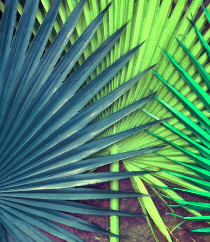 Compatible Floral for JAHRRIESNGE pu kui lpf04590 Compatible Floral JAHRRIESNGE for pu kui lpf04590