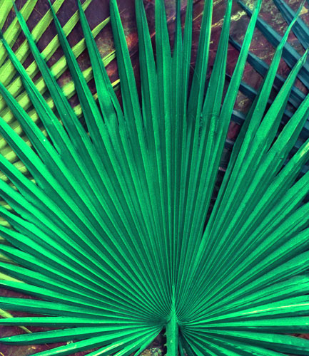 Compatible Floral for JAHRRIESNGE pu kui lpf04591 Compatible Floral JAHRRIESNGE for pu kui lpf04591