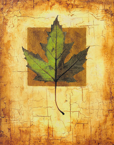 Compatible Floral for JAHRRIESNGE leaf lpf04634 Compatible Floral JAHRRIESNGE for leaf lpf04634