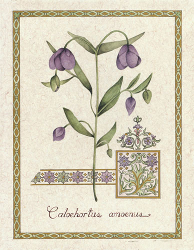 Compatible Floral for JAHRRIESNGE flower lpf04737 Compatible Floral JAHRRIESNGE for flower lpf04737