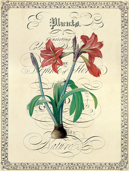 Compatible Floral for Jahrriesnge flower lpf04740 Compatible Floral Jahrriesnge for flower lpf04740