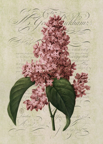 Compatible Floral for JAHRRIESNGE flowers lpf04757 Compatible Floral JAHRRIESNGE for flowers lpf04757