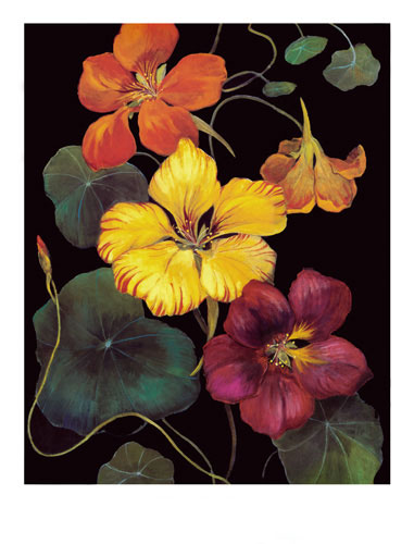 Compatible Floral for Jahrriesnge flowers lpf04813 Compatible Floral Jahrriesnge for flowers lpf04813