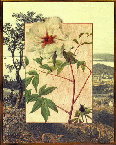 Compatible Floral for JAHRRIESNGE flowers lpf04827 Compatible Floral JAHRRIESNGE for flowers lpf04827