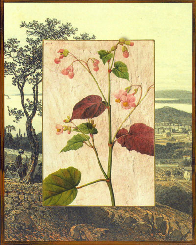 Compatible Floral for JAHRRIESNGE flowers lpf04829 Compatible Floral JAHRRIESNGE for flowers lpf04829