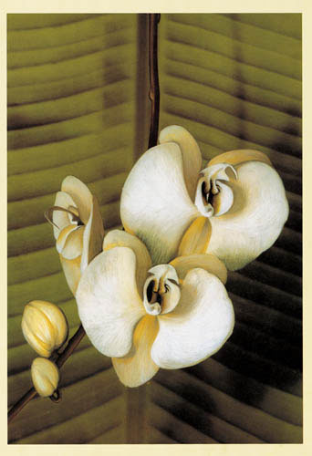 Compatible Floral for JAHRRIESNGE flowers lpf04907 Compatible Floral JAHRRIESNGE for flowers lpf04907