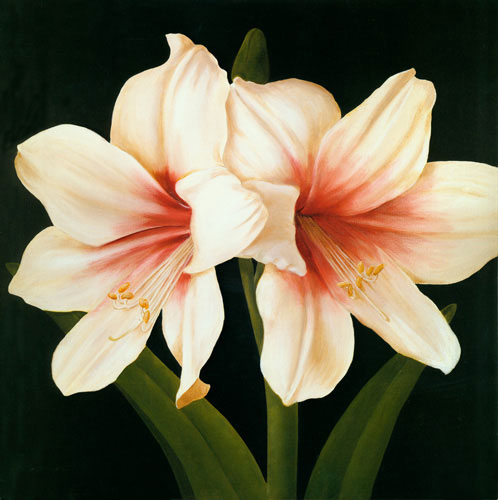 Compatible Floral for JAHRRIESNGE flowers lpf04951 Compatible Floral JAHRRIESNGE for flowers lpf04951