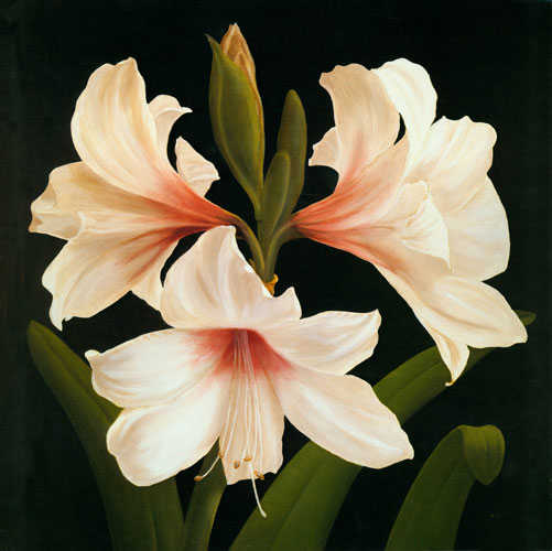 Compatible Floral for JAHRRIESNGE flowers lpf04952 Compatible Floral JAHRRIESNGE for flowers lpf04952