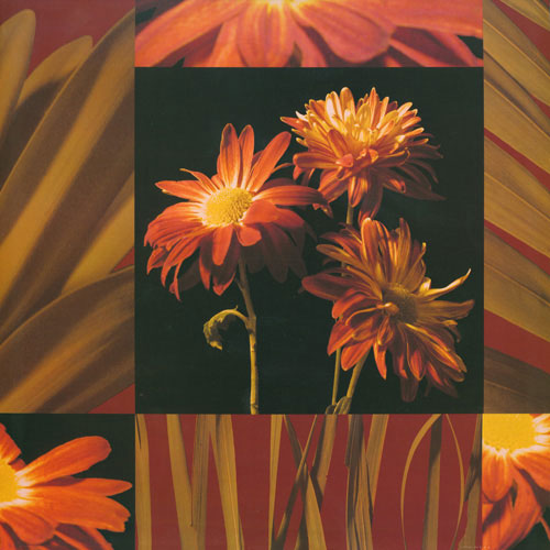 Compatible Floral for JAHRRIESNGE flowers lpf05007 Compatible Floral JAHRRIESNGE for flowers lpf05007