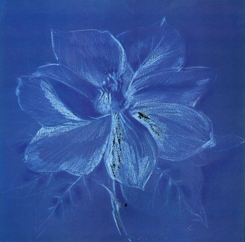 Compatible Floral for JAHRRIESNGE flowers lpf05270 Compatible Floral JAHRRIESNGE for flowers lpf05270