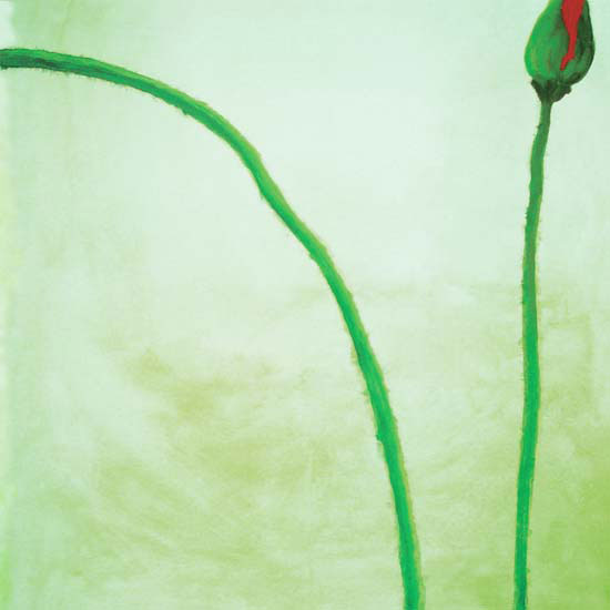 Compatible Floral for JAHRRIESNGE flowers lpf05539 Compatible Floral JAHRRIESNGE for flowers lpf05539