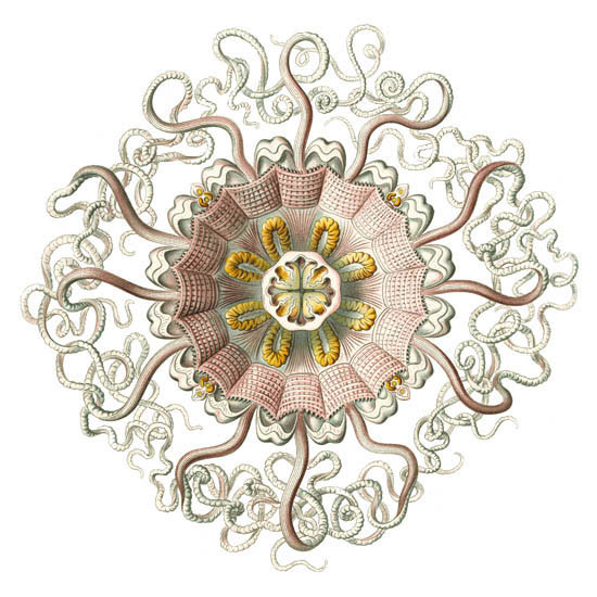 Compatible Abstract for Jahrriesnge colorful-lpf06396 Compatible Abstract Jahrriesnge for colorful-lpf06396