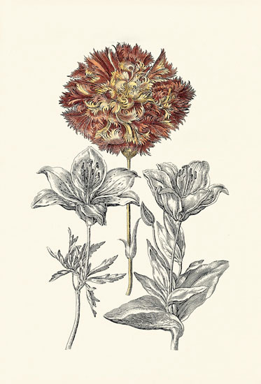 Compatible Floral for JAHRRIESNGE flowers-lpf06620 Compatible Floral JAHRRIESNGE for flowers-lpf06620