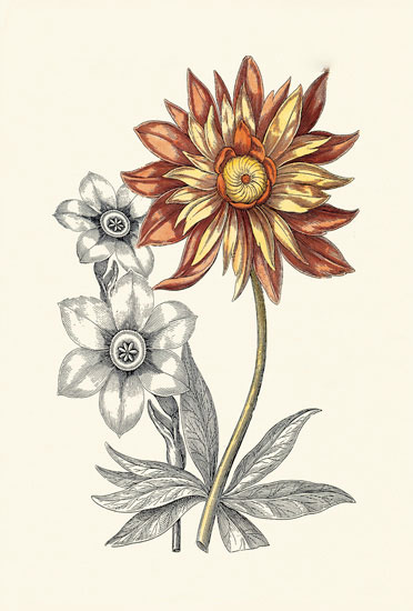 Compatible Floral for JAHRRIESNGE flowers-lpf06621 Compatible Floral JAHRRIESNGE for flowers-lpf06621