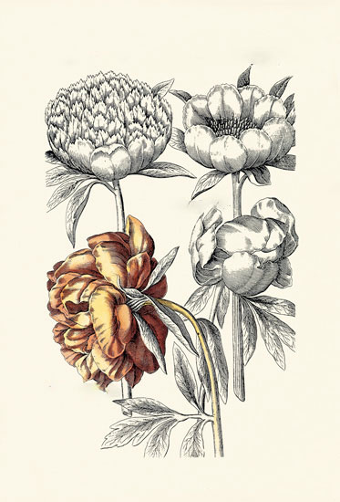 Compatible Floral for JAHRRIESNGE flowers-lpf06622 Compatible Floral JAHRRIESNGE for flowers-lpf06622