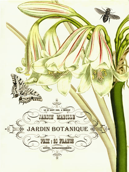 Compatible Floral for JAHRRIESNGE flowers-lpf06635 Compatible Floral JAHRRIESNGE for flowers-lpf06635