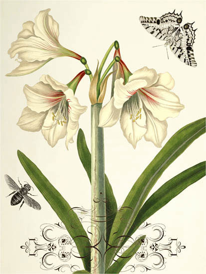 Compatible Floral for JAHRRIESNGE flowers-lpf06639 Compatible Floral JAHRRIESNGE for flowers-lpf06639