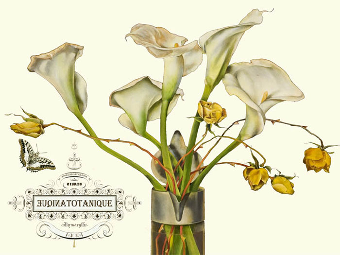 Compatible Floral for JAHRRIESNGE flowers-lpf06640 Compatible Floral JAHRRIESNGE for flowers-lpf06640