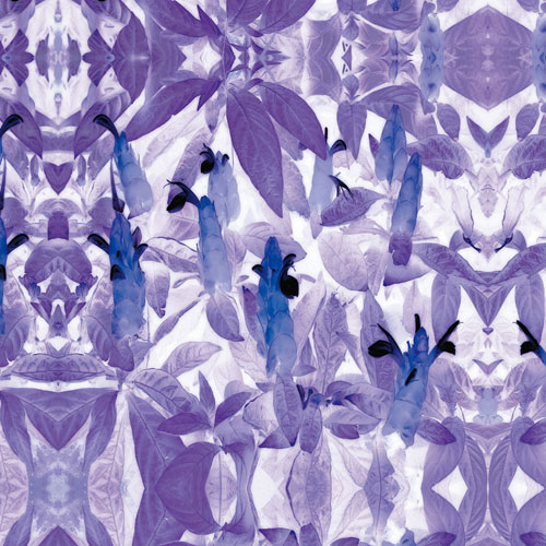 Compatible Floral for JAHRRIESNGE flowers-lpf06741 Compatible Floral JAHRRIESNGE for flowers-lpf06741