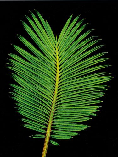 Compatible Floral for JAHRRIESNGE flowers-lpf06751 Compatible Floral JAHRRIESNGE for flowers-lpf06751