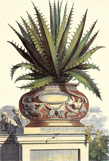 Compatible Floral for JAHRRIESNGE flowers-lpf06776 Compatible Floral JAHRRIESNGE for flowers-lpf06776