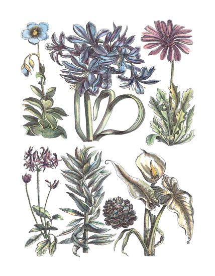 Compatible Floral for JAHRRIESNGE flowers-lpf06781 Compatible Floral JAHRRIESNGE for flowers-lpf06781