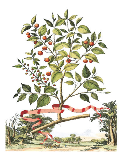 Compatible Floral for JAHRRIESNGE flowers-lpf06789 Compatible Floral JAHRRIESNGE for flowers-lpf06789