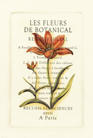 Compatible Floral for JAHRRIESNGE flowers-lpf06792 Compatible Floral JAHRRIESNGE for flowers-lpf06792