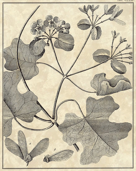 Compatible Floral for JAHRRIESNGE flowers-lpf06797 Compatible Floral JAHRRIESNGE for flowers-lpf06797